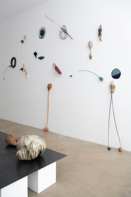 Sainte Anne Gallery